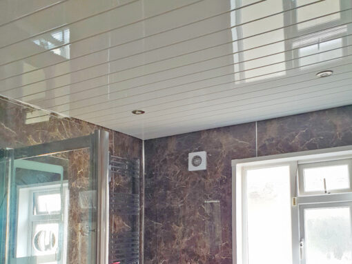 Ceiling Clad